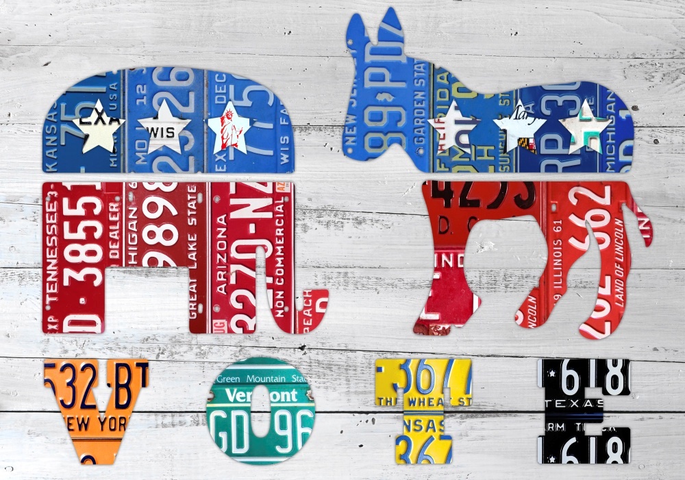 Canvas on Demand Poster Print 16 x 12 entitled Vote