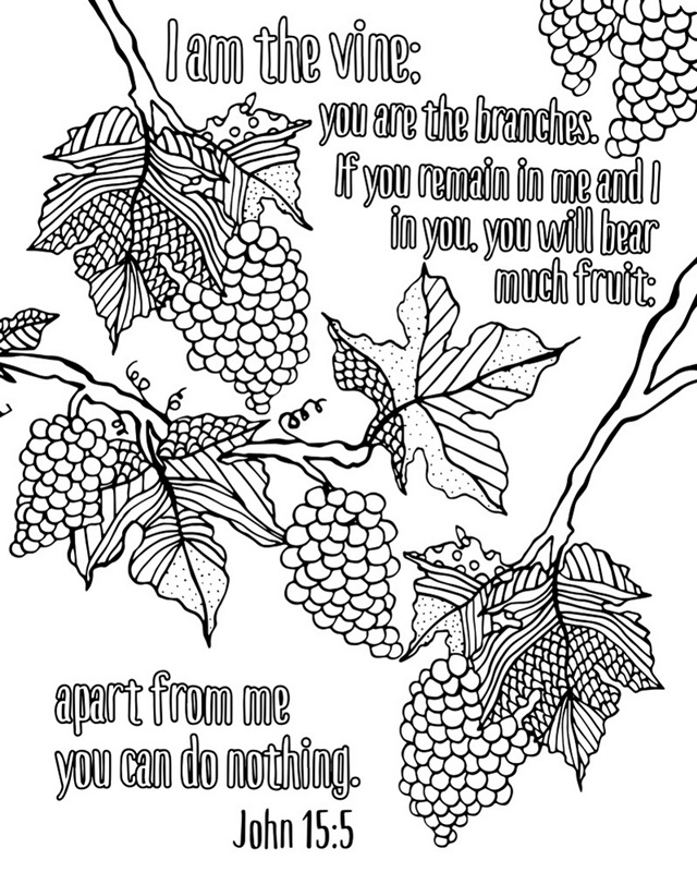 I am the Vine; You are the Branches