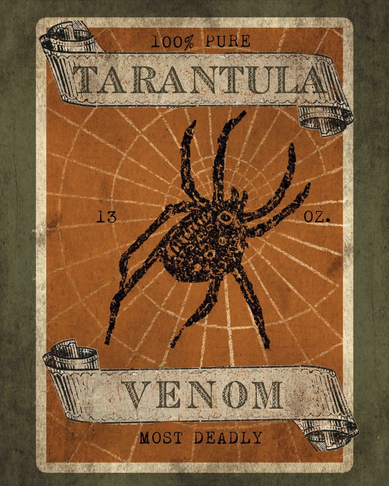 Canvas on Demand Poster Print 16 x 20 entitled Tarantula Venom