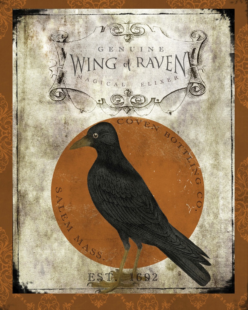Canvas on Demand Poster Print 16 x 20 entitled Wing of Raven