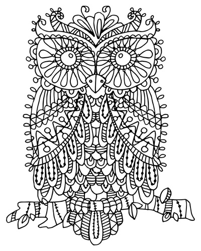 Download Color me owl | Coloring Canvas - Canvas On Demand
