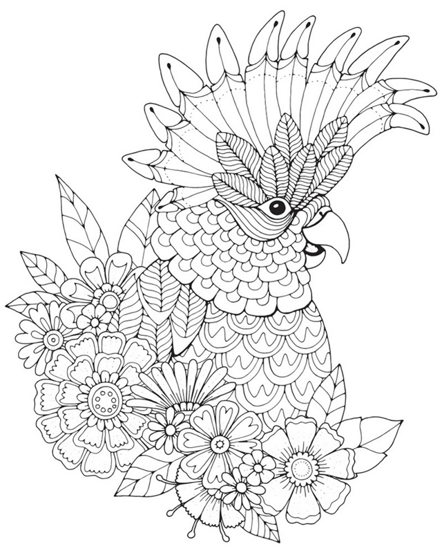 Winged Things 14