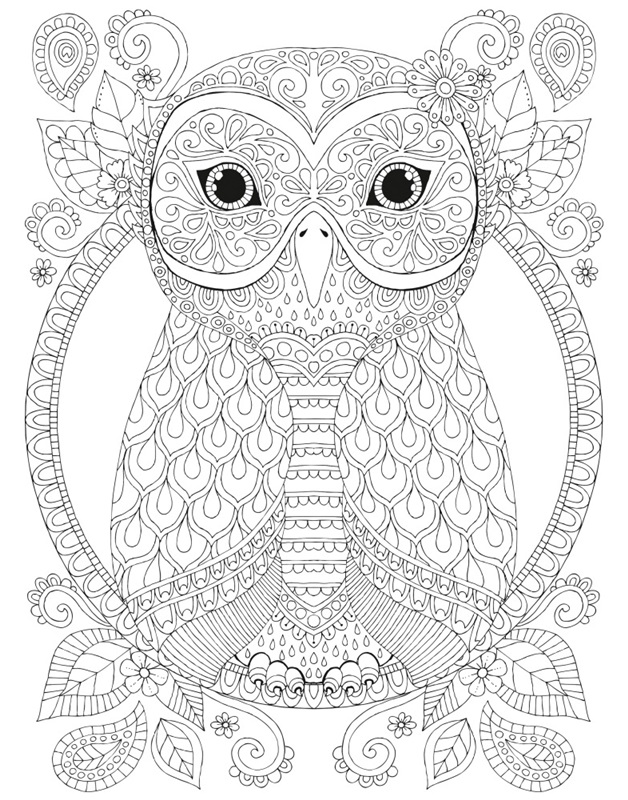 Night Owls 15