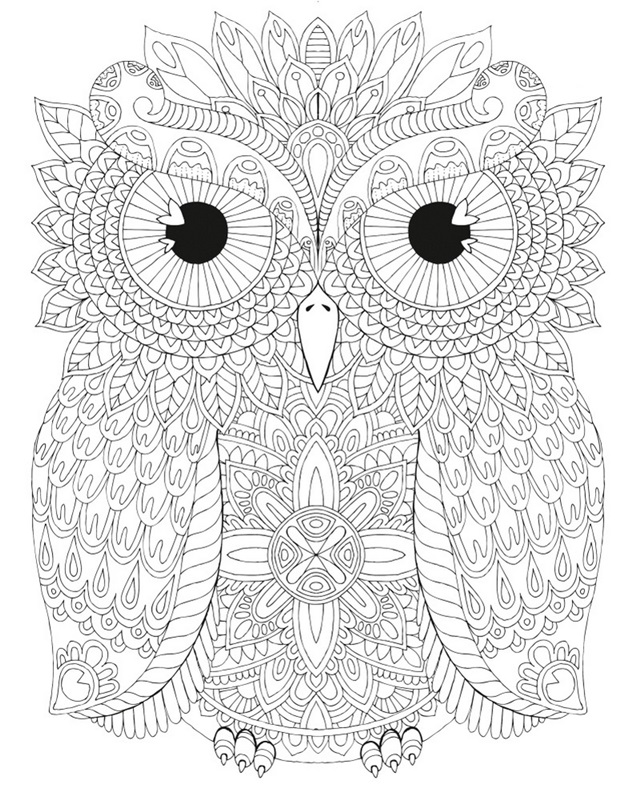 Night Owls 25