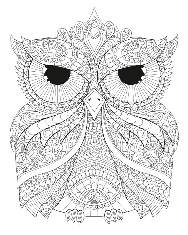 Night Owls 4