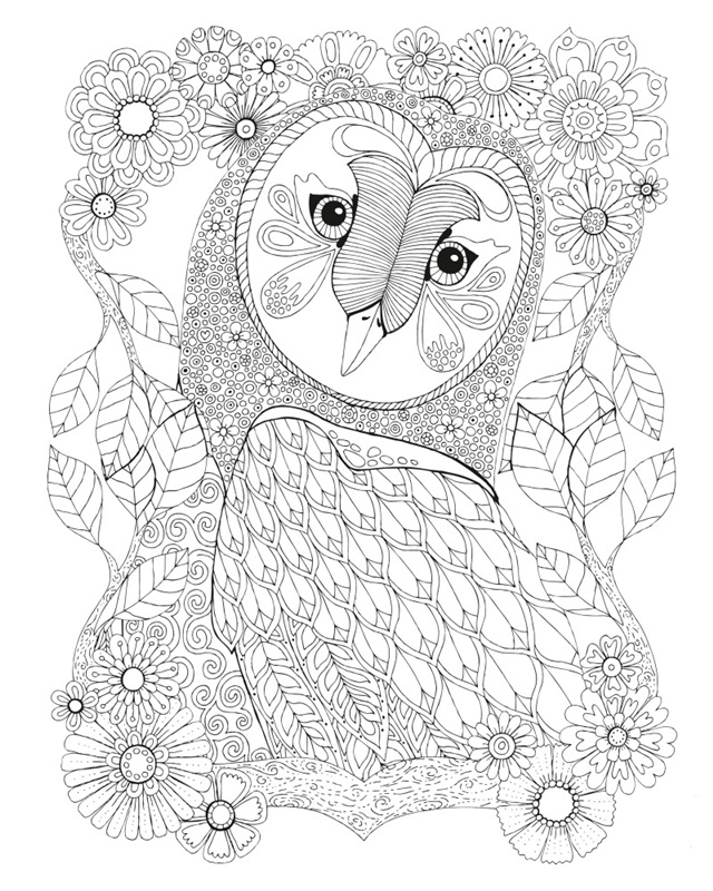 Animals 16