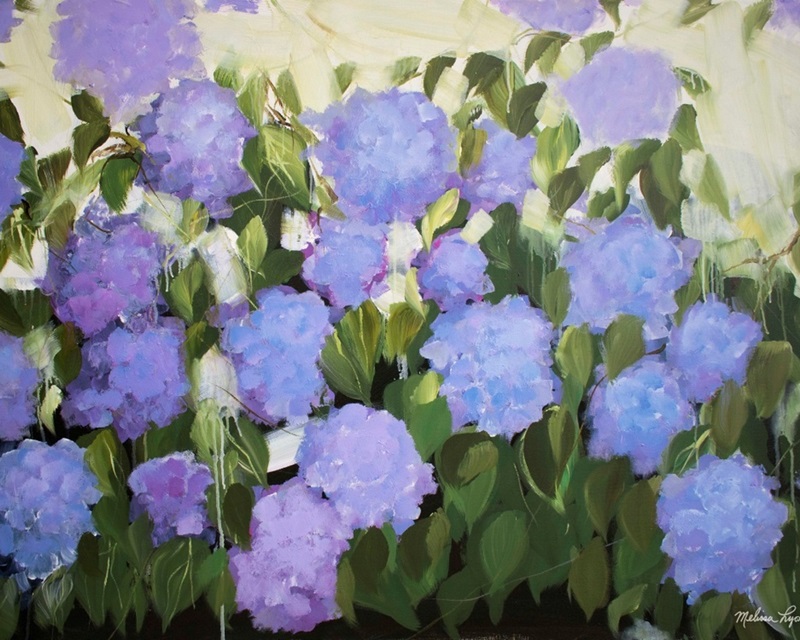 Purple And Blue Hydrangeas