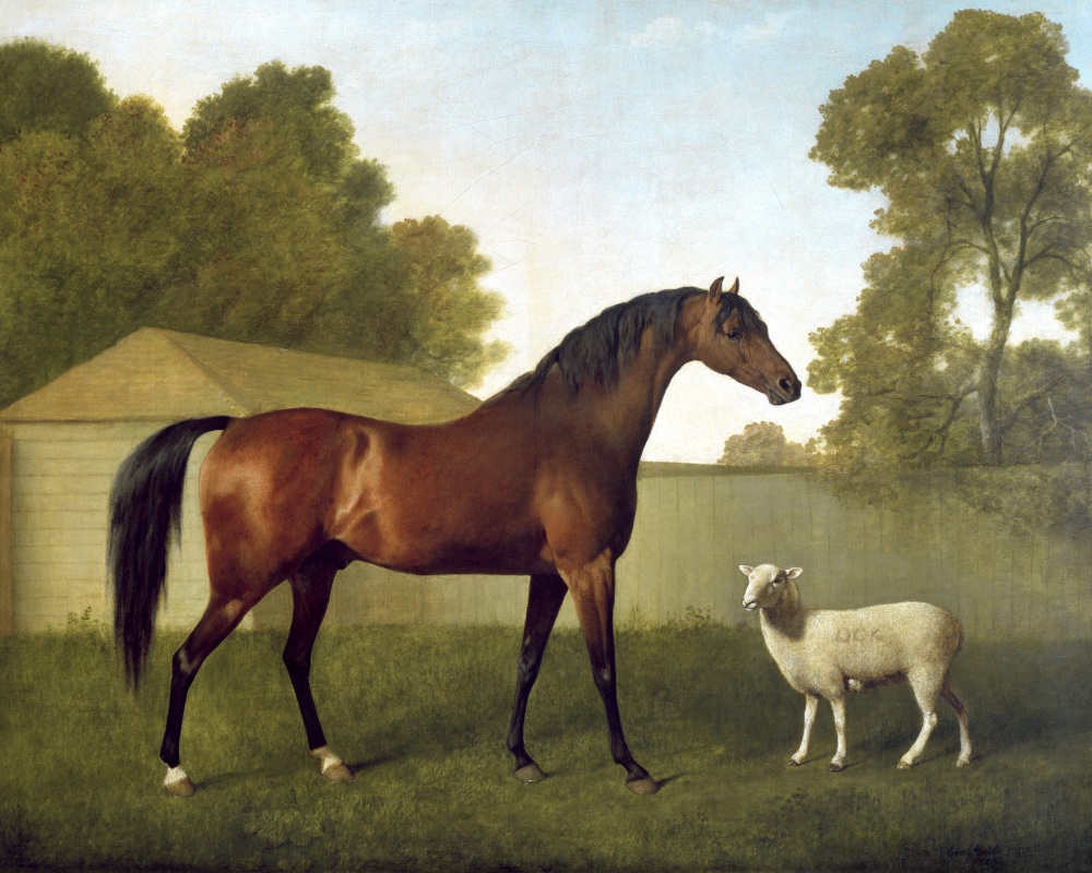 Canvas on Demand Poster Print 20 x 16 entitled Dungannon, the property of Colonel OKelly, painted in a paddock with a shee...