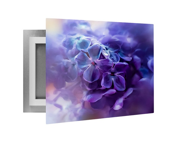 Custom printed photo on an aluminum metal print