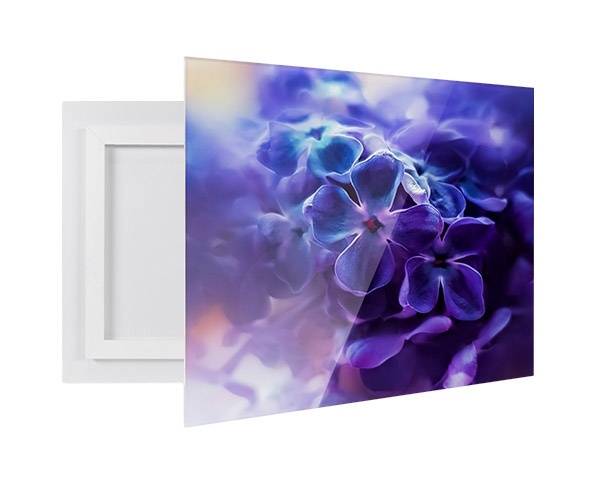 A custom printed photo on an acrylic print