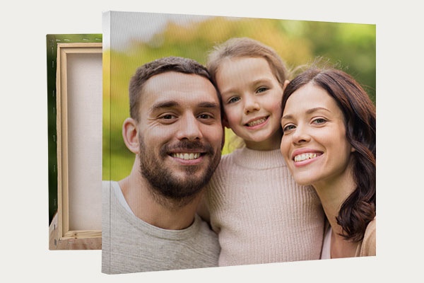 20x60 Canvas Print