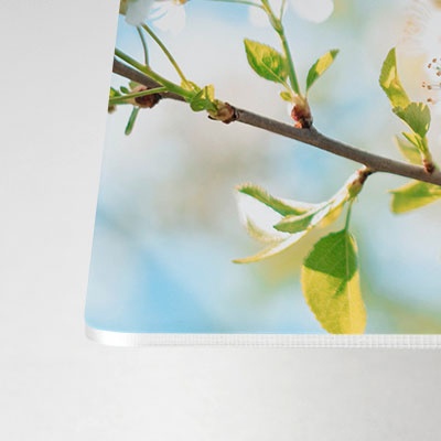 A close-up photo of a metal print showing quality