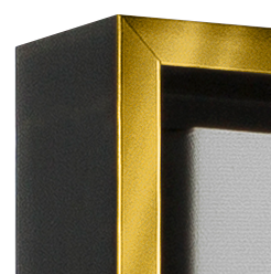 Gold Frame option close up