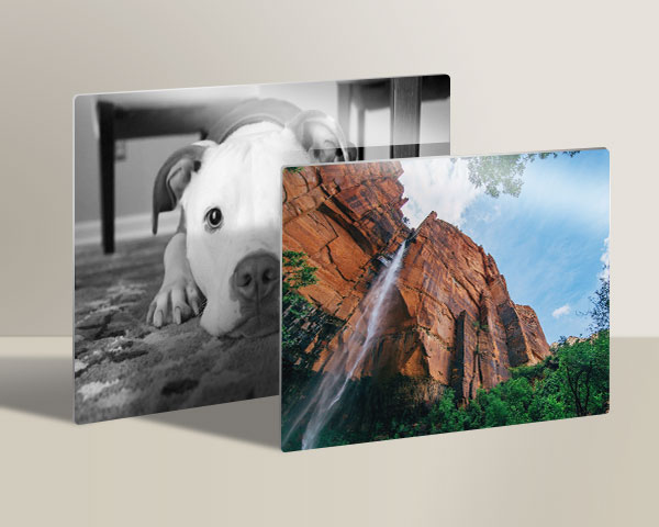 Cute dog and a waterfall printed on metal