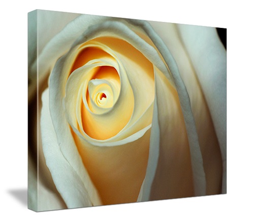 Custom Gallery Wrapped Canvas Printing