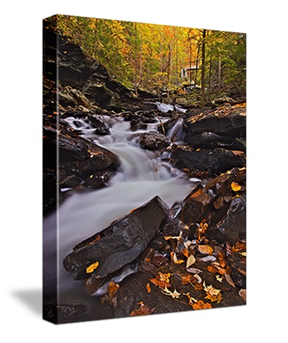 Canvas Artwork | Canvas Art Print Ideas by Canvas on Demand - Canvas On ...