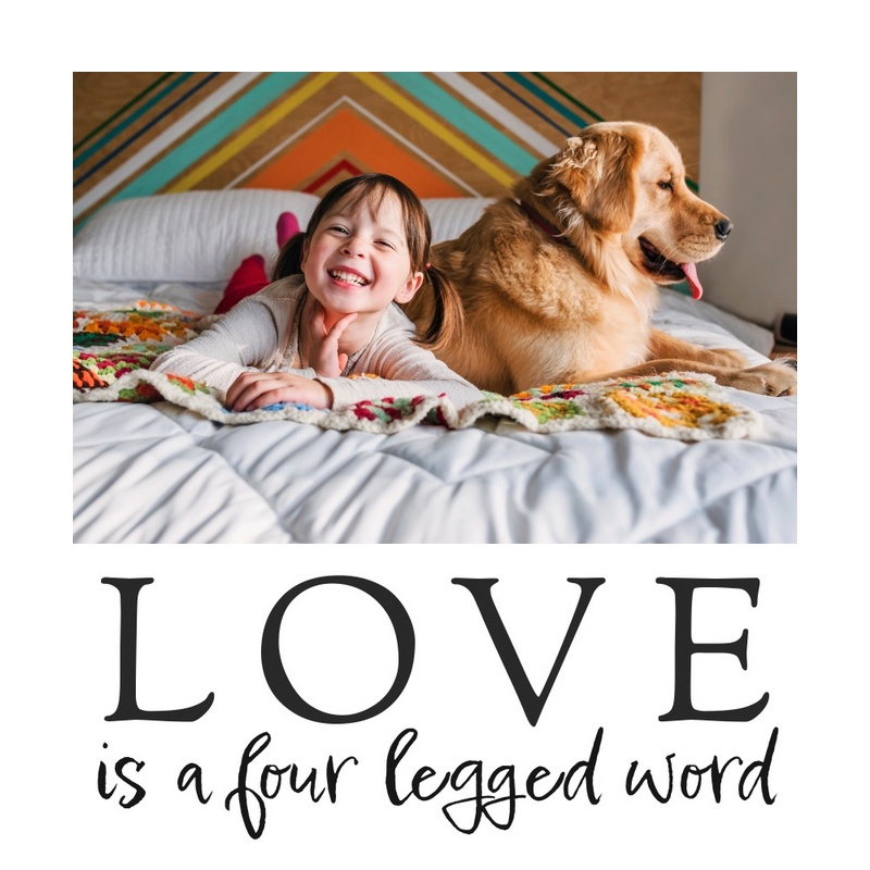 Love Is A Four Legged Word